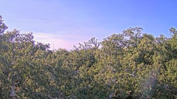 Weather camera view of Metairie Club Gardens.