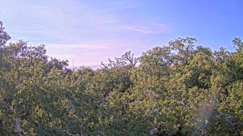 Weather camera view of Metairie Club Gardens.