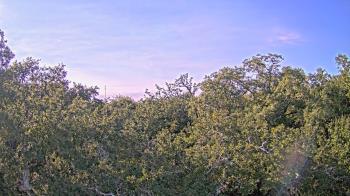 Weather camera view of Metairie Club Gardens.