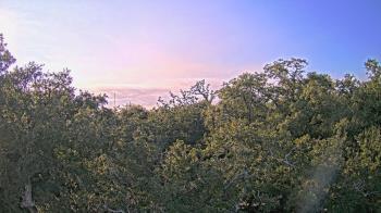 Weather camera view of Metairie Club Gardens.