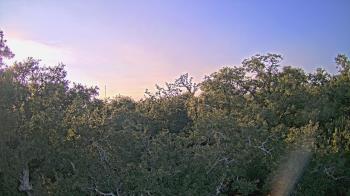 Weather camera view of Metairie Club Gardens.