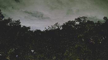 Weather camera view of Metairie Club Gardens.