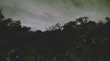 Weather camera view of Metairie Club Gardens.