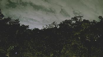 Weather camera view of Metairie Club Gardens.