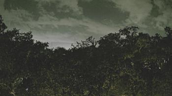 Weather camera view of Metairie Club Gardens.