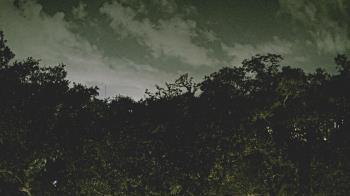 Weather camera view of Metairie Club Gardens.