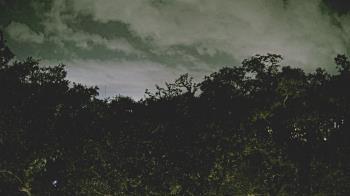 Weather camera view of Metairie Club Gardens.