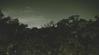 Weather camera view of Metairie Club Gardens.