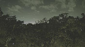 Weather camera view of Metairie Club Gardens.