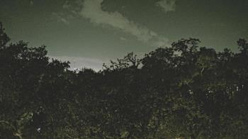 Weather camera view of Metairie Club Gardens.