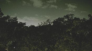 Weather camera view of Metairie Club Gardens.