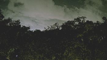 Weather camera view of Metairie Club Gardens.