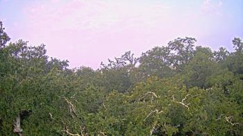 Weather camera view of Metairie Club Gardens.