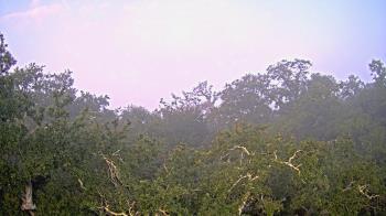 Weather camera view of Metairie Club Gardens.