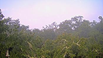 Weather camera view of Metairie Club Gardens.