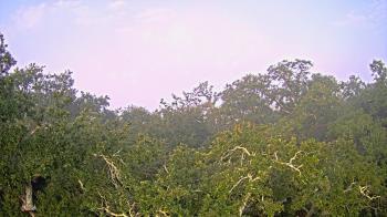 Weather camera view of Metairie Club Gardens.