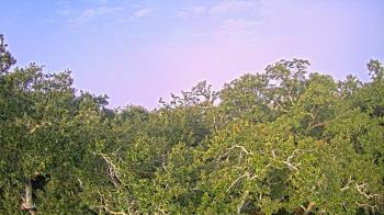Weather camera view of Metairie Club Gardens.