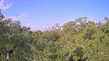 Weather camera view of Metairie Club Gardens.