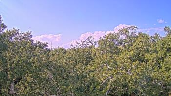 Weather camera view of Metairie Club Gardens.