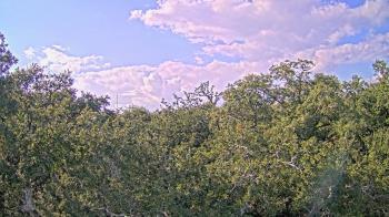 Weather camera view of Metairie Club Gardens.