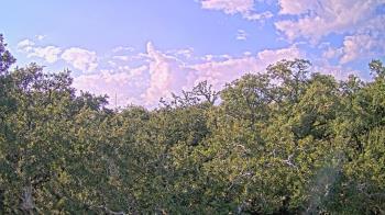 Weather camera view of Metairie Club Gardens.