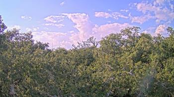 Weather camera view of Metairie Club Gardens.