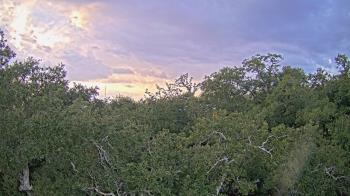 Weather camera view of Metairie Club Gardens.