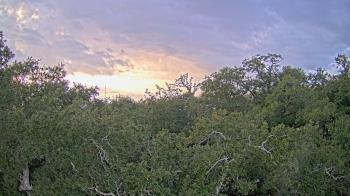 Weather camera view of Metairie Club Gardens.
