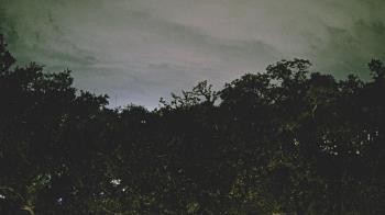 Weather camera view of Metairie Club Gardens.