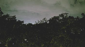 Weather camera view of Metairie Club Gardens.