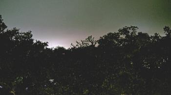 Weather camera view of Metairie Club Gardens.