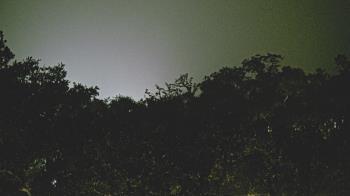 Weather camera view of Metairie Club Gardens.