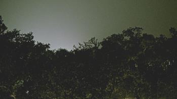 Weather camera view of Metairie Club Gardens.