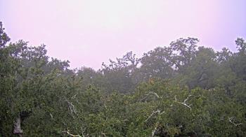 Weather camera view of Metairie Club Gardens.