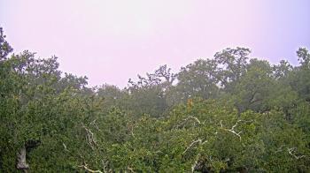 Weather camera view of Metairie Club Gardens.