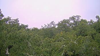 Weather camera view of Metairie Club Gardens.