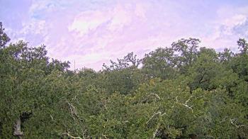 Weather camera view of Metairie Club Gardens.