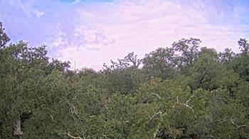 Weather camera view of Metairie Club Gardens.