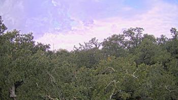 Weather camera view of Metairie Club Gardens.