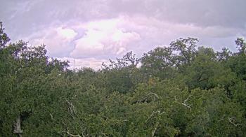 Weather camera view of Metairie Club Gardens.
