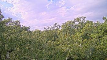 Weather camera view of Metairie Club Gardens.