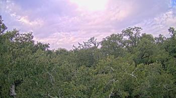 Weather camera view of Metairie Club Gardens.