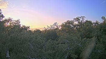 Weather camera view of Metairie Club Gardens.