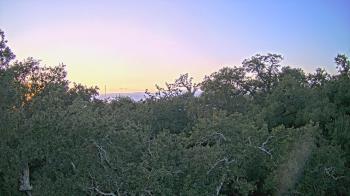 Weather camera view of Metairie Club Gardens.