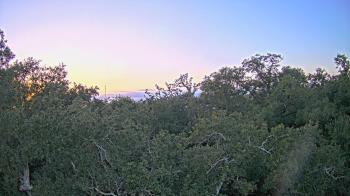 Weather camera view of Metairie Club Gardens.