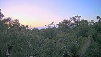 Weather camera view of Metairie Club Gardens.