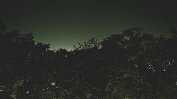 Weather camera view of Metairie Club Gardens.