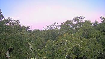 Weather camera view of Metairie Club Gardens.