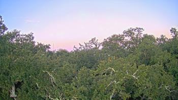 Weather camera view of Metairie Club Gardens.