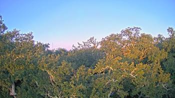 Weather camera view of Metairie Club Gardens.